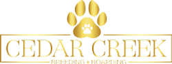 Cedar Creek Cattery Logo
